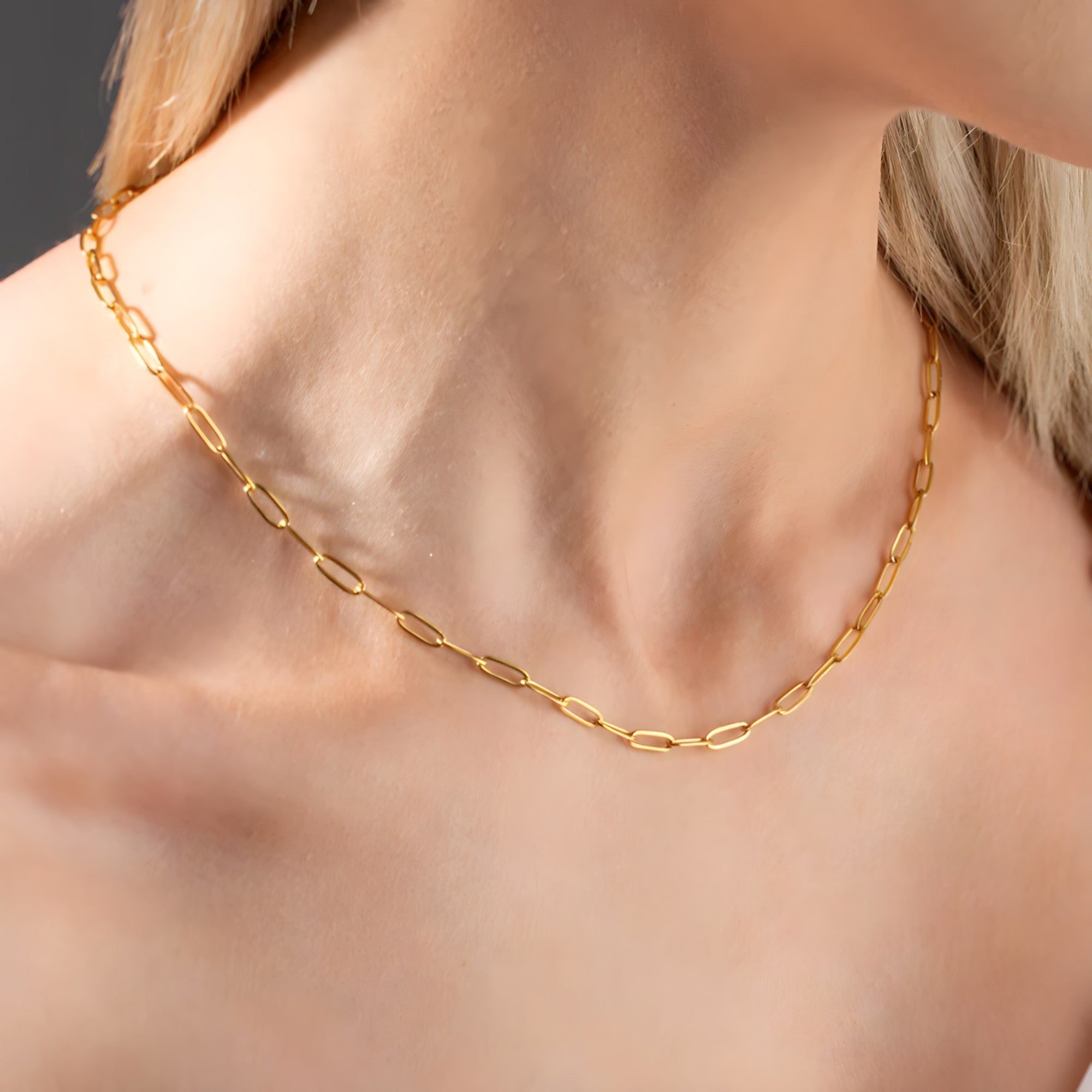 Paperclip Necklace