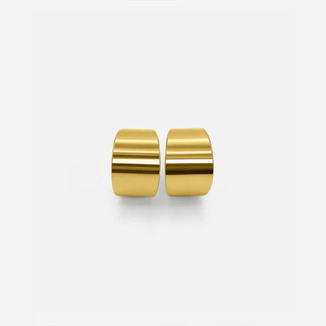 Curved Wave Earrings
